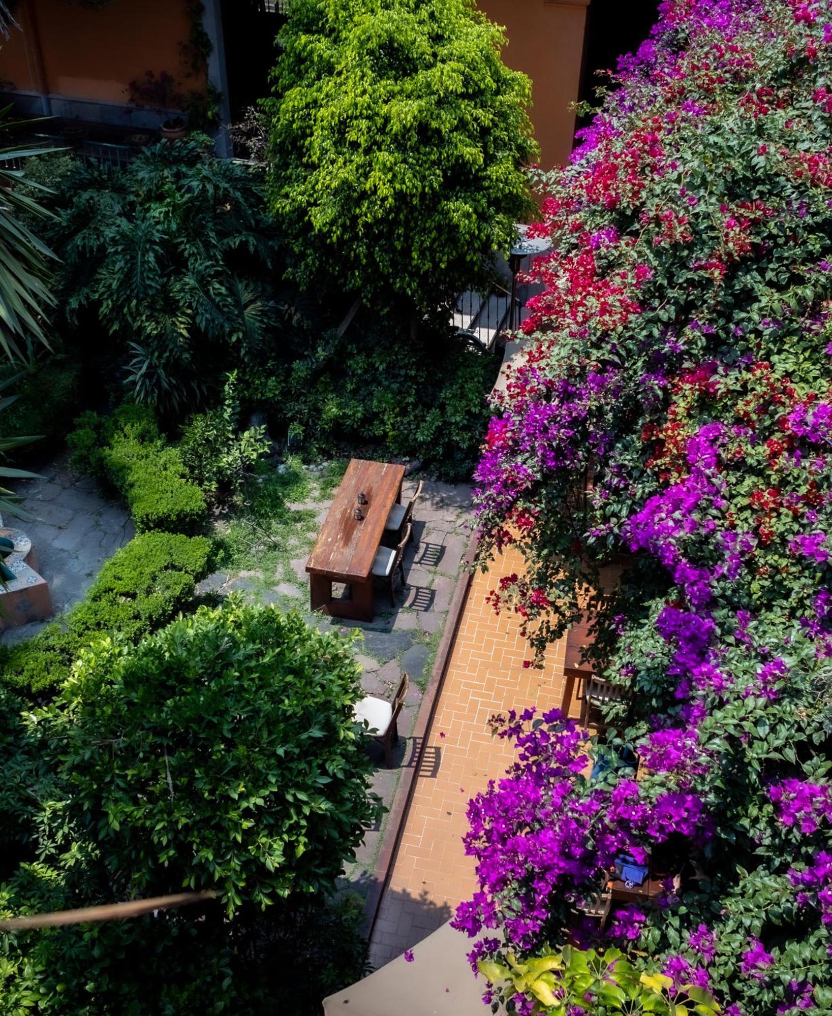 Hacienda Gobernadores Mexico City